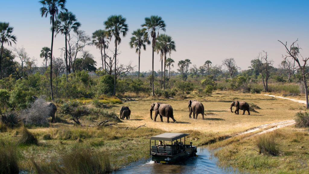 Herd Of Elephants Walking While Guests Cross Channel On A Safari Game Drive In Botswana 1024x576 1